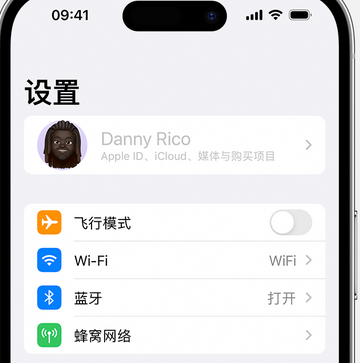 民和appleID维修服务iPhone设置中Apple ID显示为灰色无法使用