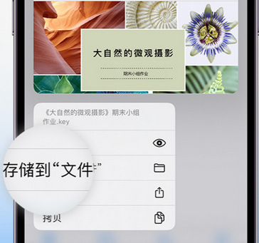 民和apple维修中心分享iPhone文件应用中存储和找到下载文件