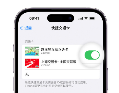 民和apple维修点分享iPhone上更换Apple Pay快捷交通卡手绘卡面 