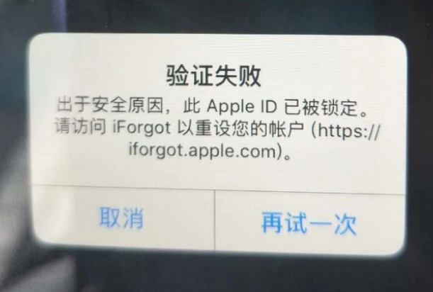 民和iPhone维修分享iPhone上正常登录或使用AppleID怎么办 