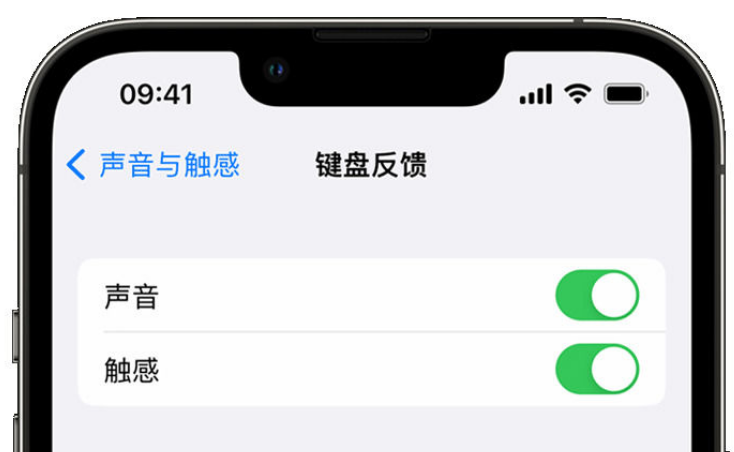 民和苹果手机维修分享iPhone 14触感键盘使用方法 