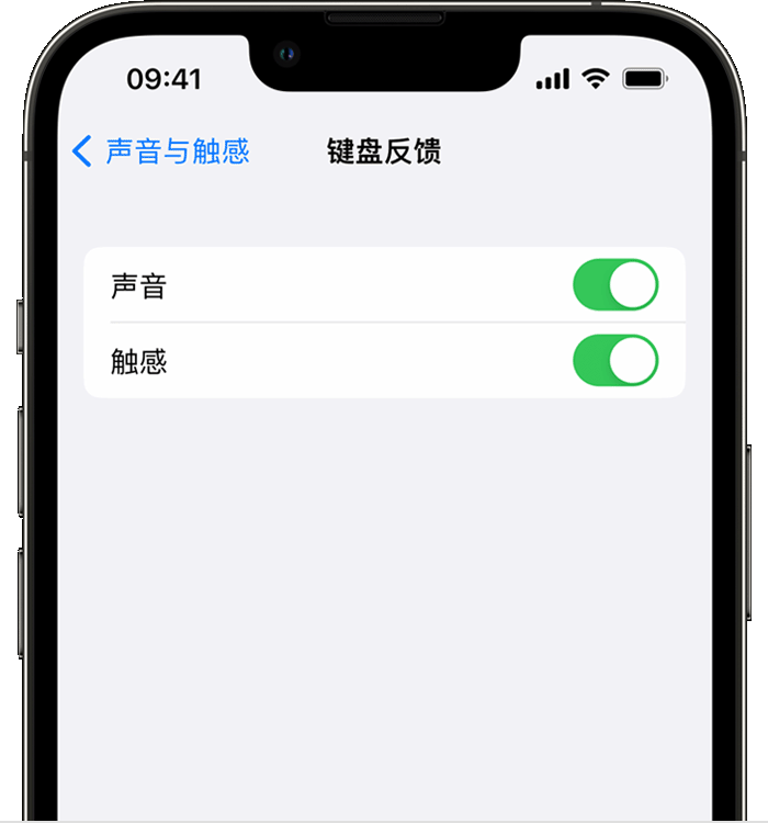 民和苹果14维修店分享如何在 iPhone 14 机型中使用触感键盘 