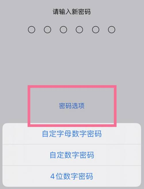 民和苹果14维修分享iPhone 14plus设置密码的方法 