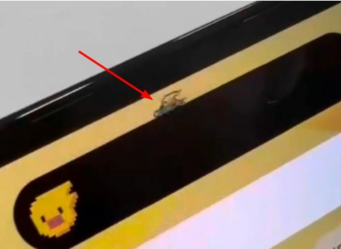 民和苹果14维修分享iPhone 14 Pro Max灵动岛怎么养宠物 