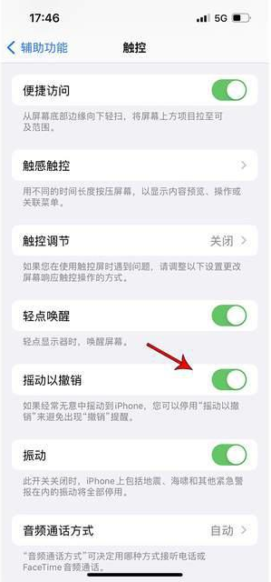 民和苹果手机维修分享iPhone手机如何设置摇一摇删除文字 