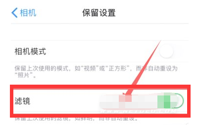民和苹果13维修分享iPhone13拍照有绿点是怎么回事 