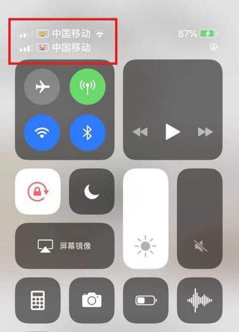民和苹果手机维修分享为 iPhone 12 双卡设置标签 