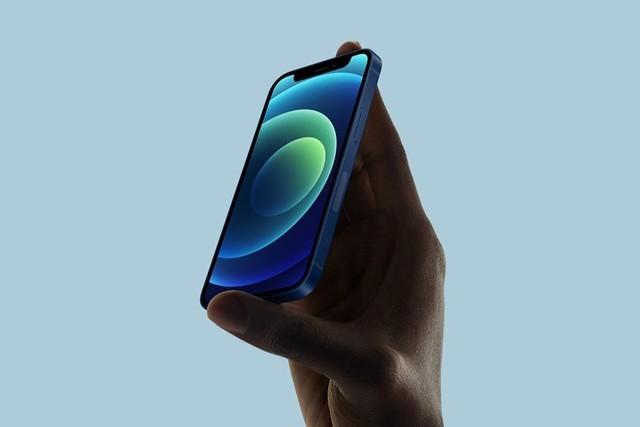 民和苹果手机维修分享iPhone 12 mini辐射很大吗 